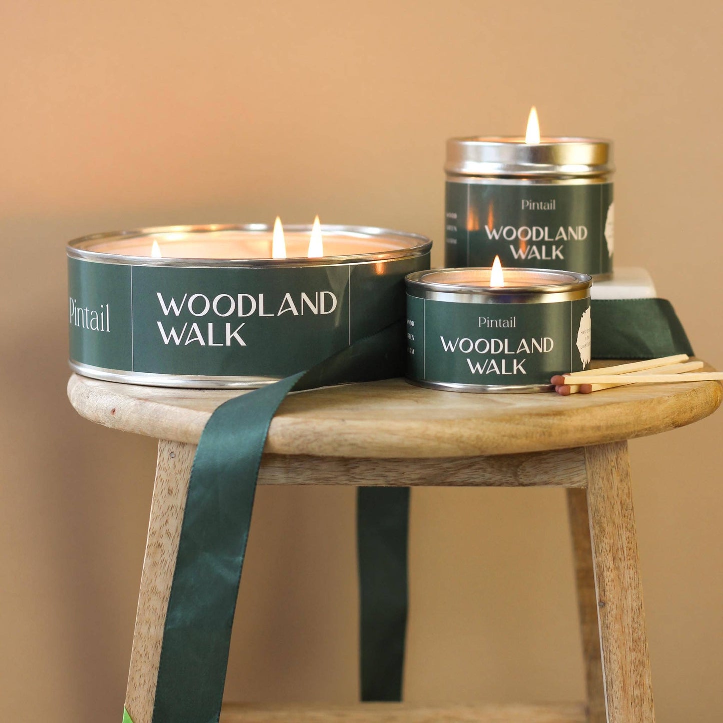 Woodland Walk Paint Pot Candle (Pack of 6)