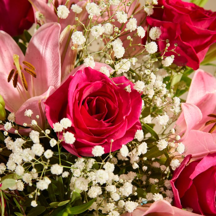 The Blushing Serenade