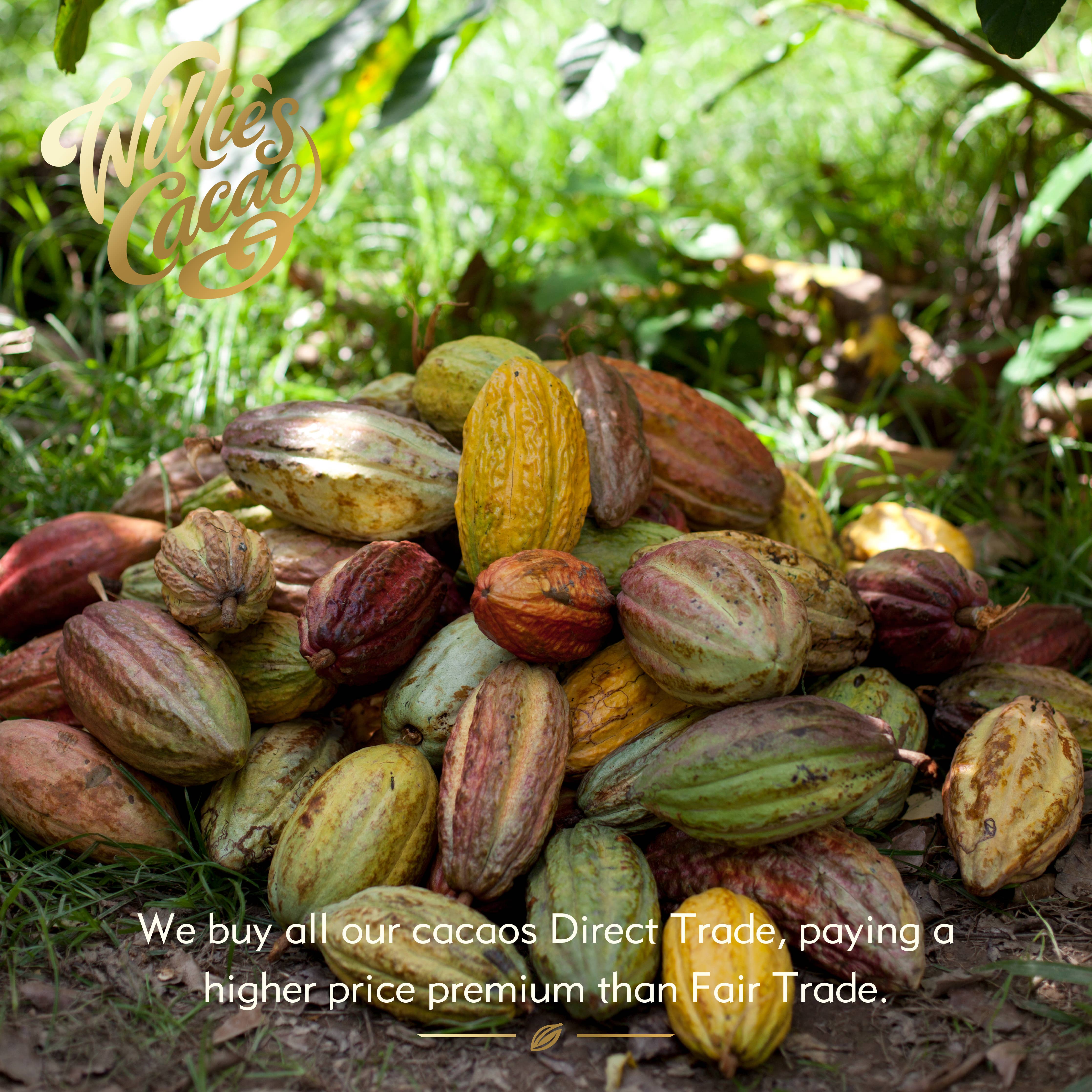 Clementina's Almonds. Milk chocolate. 50g bar