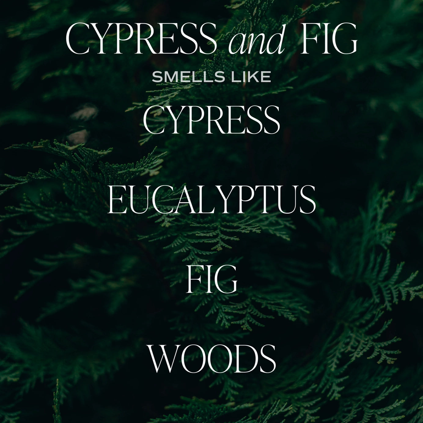 Cypress and Fig 11 oz Soy Candle