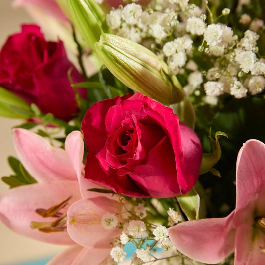 The Blushing Serenade