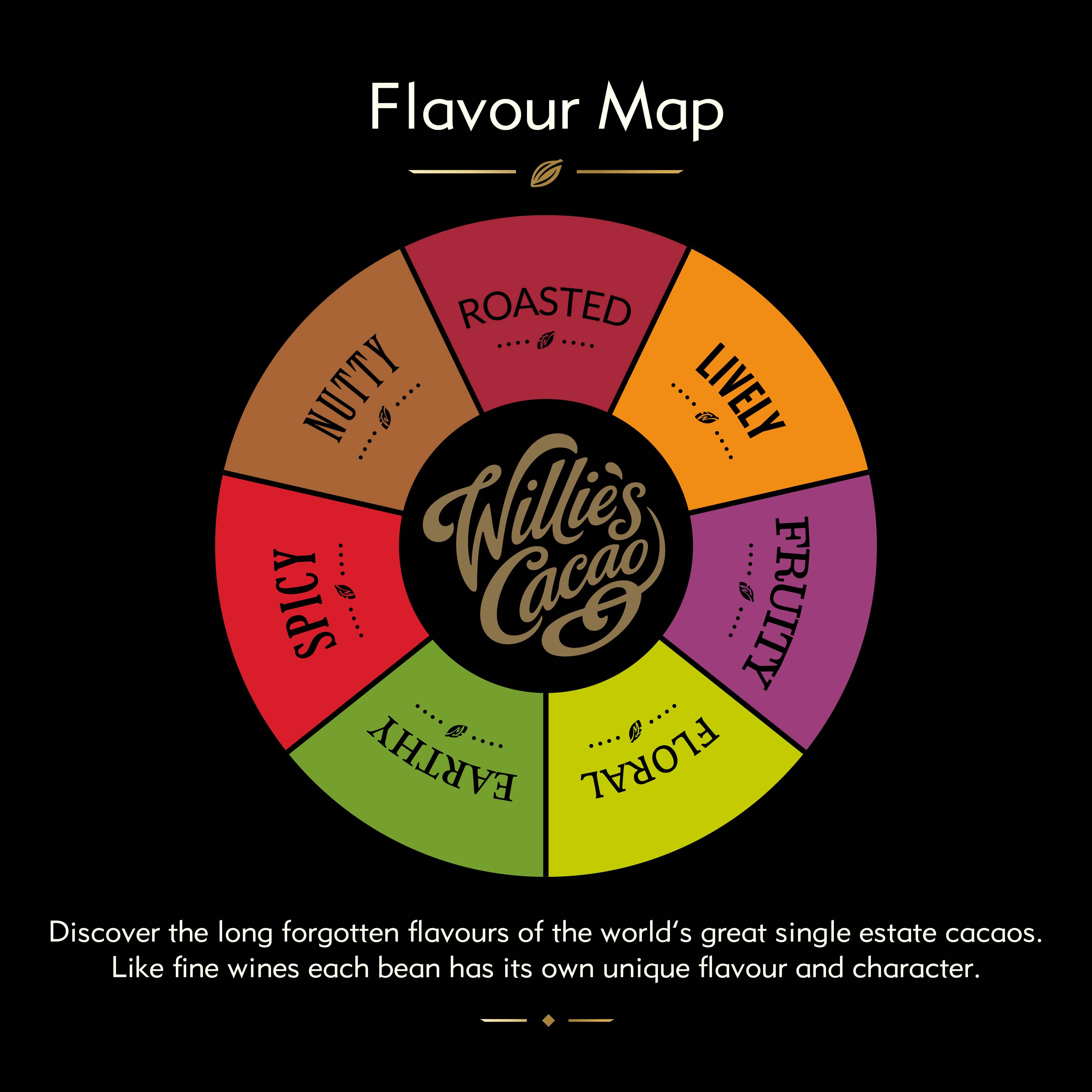 Chulucanas 70% dark chocolate. Raisin notes. Vegan. 50g bar